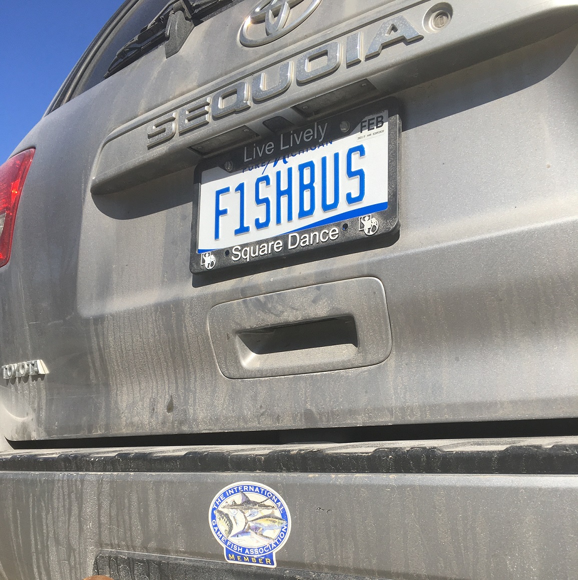 Michigan fishbus charters 